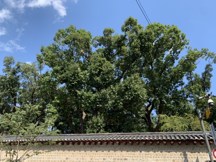  20201005 일상 일산/종로3가/쌍문동카페