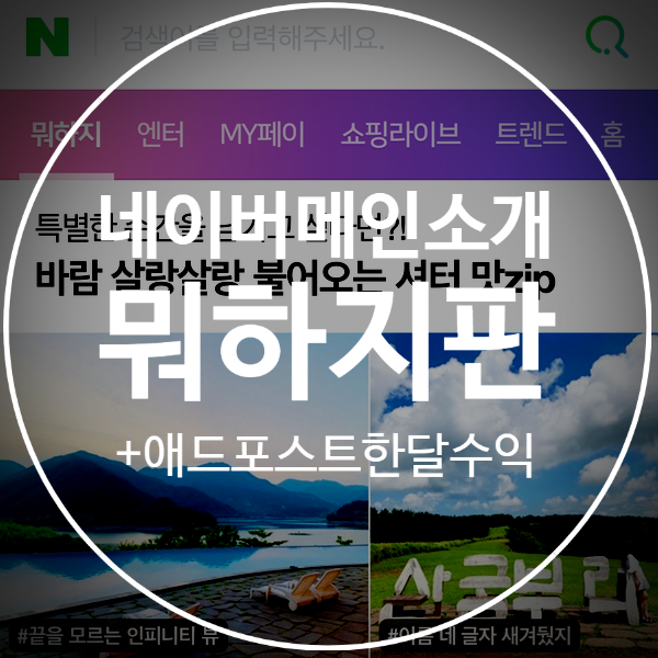  [블린이의일기] 네이버 뭐하지판 소개 그리고 애드포스트 한달 수익 공개