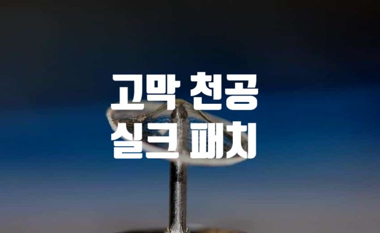 고막 천공 실크 패치 클리어드럼 고막 천공 실크 패치 클리어드럼