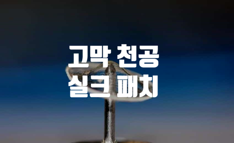 고막 천공 실크 패치 클리어드럼