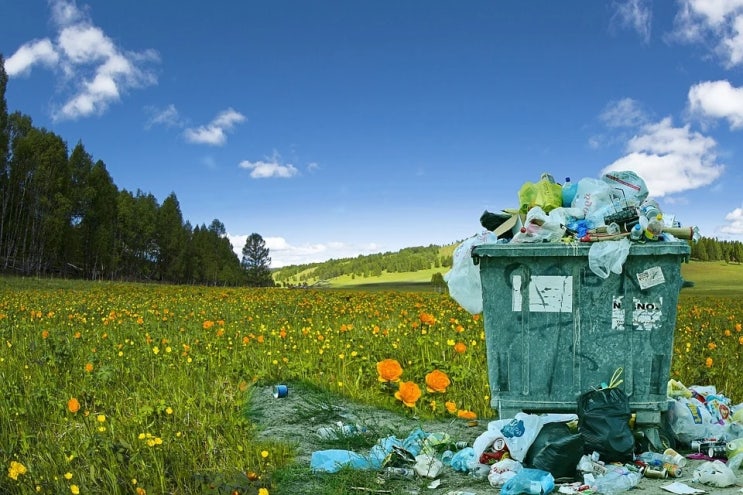 자연으로 떠나는 여행, 생태관광! 환경공학 전공자가 알려주는 Ecotourism의 장점과 단점, 마냥 좋기만 할까?