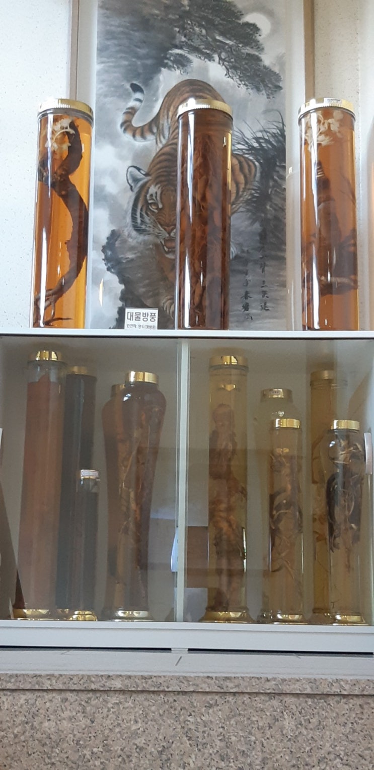 인천 추어탕 맛집 장기리 추어탕 인천 추어탕 맛집 장기리 추어탕