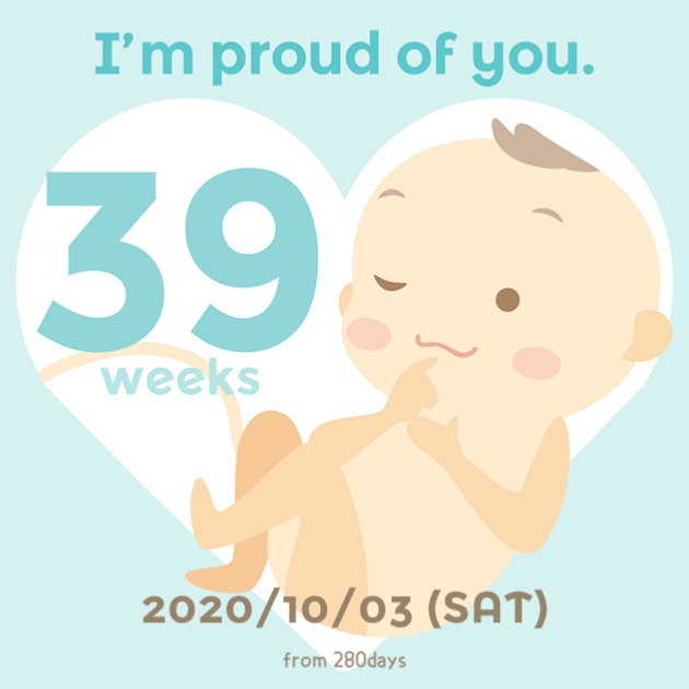  39주 마지막 임신기록c