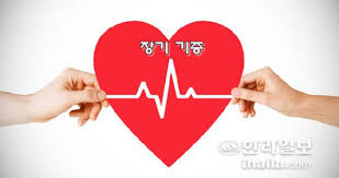 장기기증OPTIN OPTOUT방식비교 이식동의서: 장기기증활성방안 해결방안 장기기증OPTIN OPTOUT방식비교 이식동의서: 장기기증활성방안 해결방안