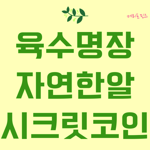  더 간편한 육수명장 빅마마 시크릿코인 자연한알 비교! 내돈내산 솔직후기