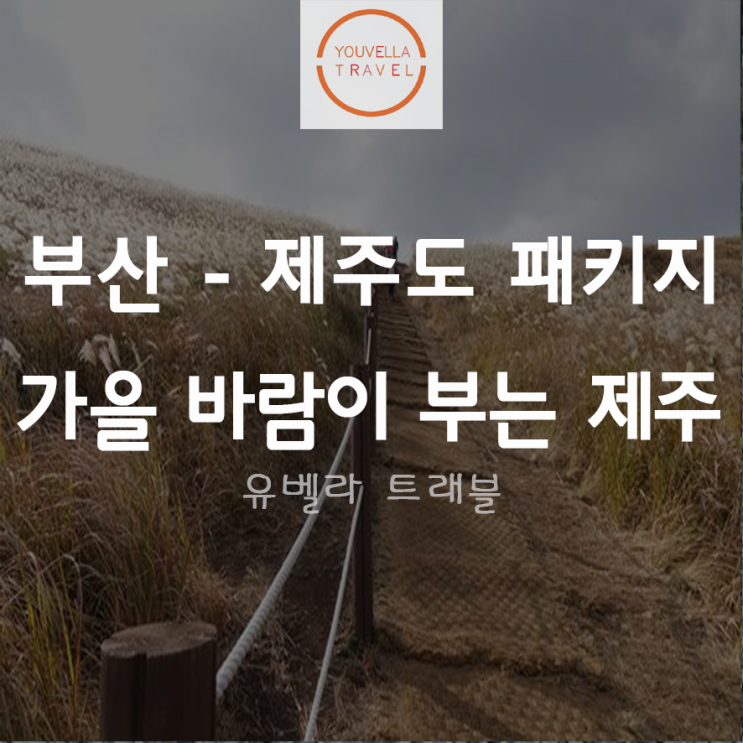 [부산출발] 가을 바람이 부는 제주 3박4일 석조 특가 패키지 에어부산
