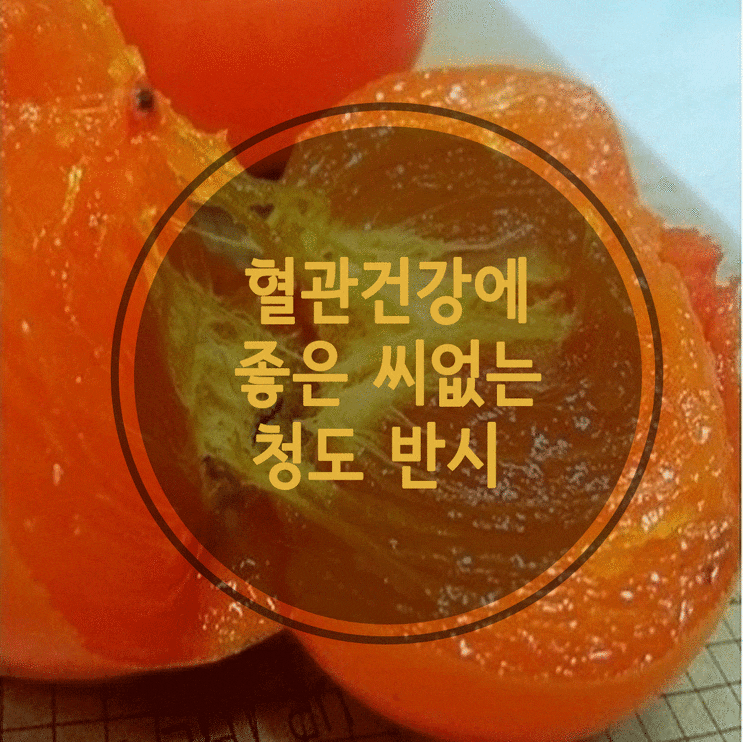  청도 반시 반건시 특징과 혈관건강을 지켜주는 감의 효능