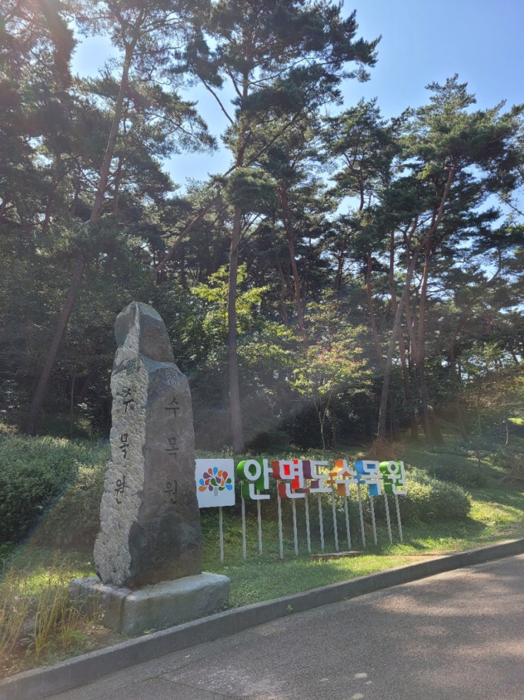  안면도))안면도수목원가서 힐링하고 대하먹으러 삼형제수산