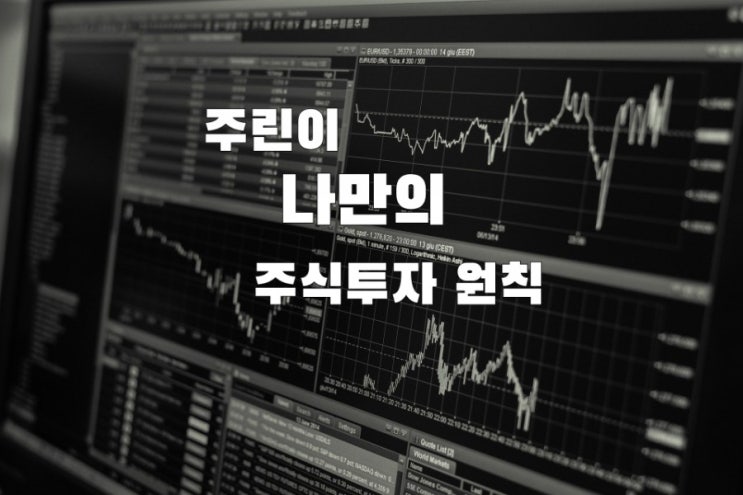  주린이의 나만의 주식투자 원칙