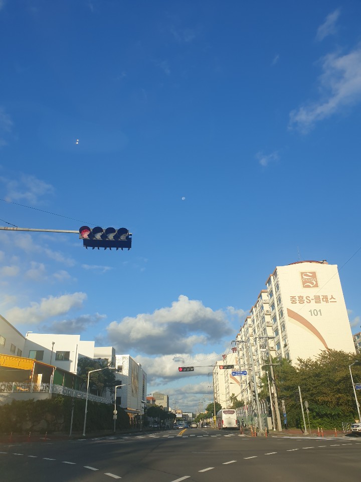  제주도민의 흔한 출퇴근길 풍경(1100고지와 거린사슴전망대)