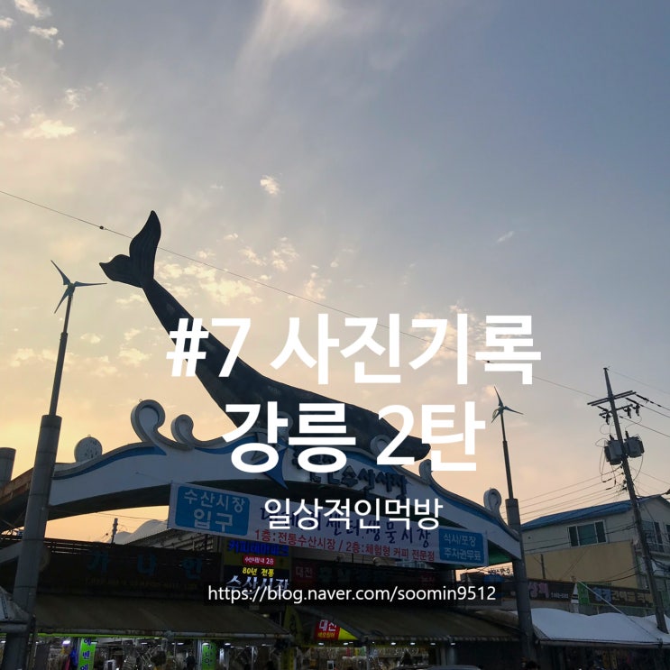 #7 강릉 2탄 사진기록 ( 주문진 , 강릉수제버거 , 오죽헌시립박물관  )