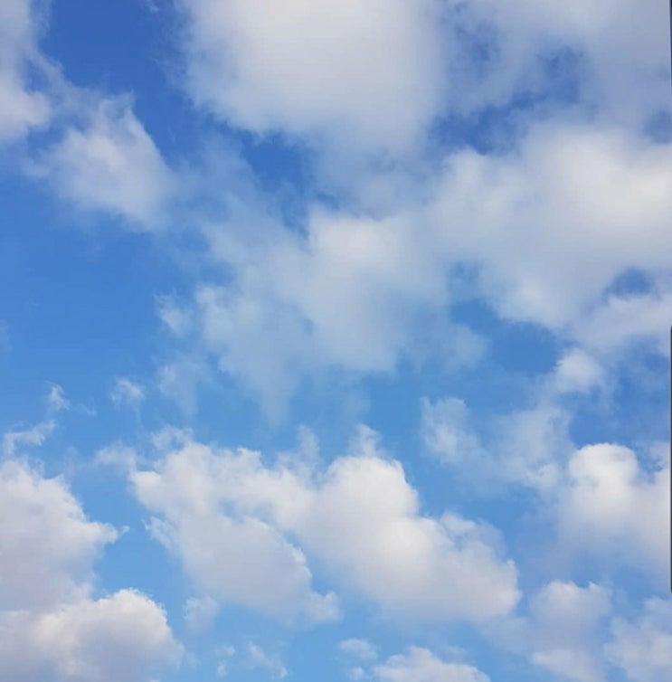  행복한 초보~   슬기로운 안전운전연수 ~시내운전연수~도로운전연수