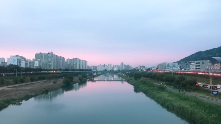  전세대란 속 보금자리를 구해 독립하다 #전세체크리스트 공개