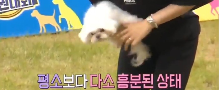 아멍대 유일한 기권자 갓세븐 영재네 코코 아멍대 유일한 기권자 갓세븐 영재네 코코