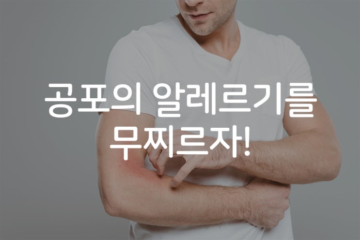  공포의 알레르기를 무찌르자!