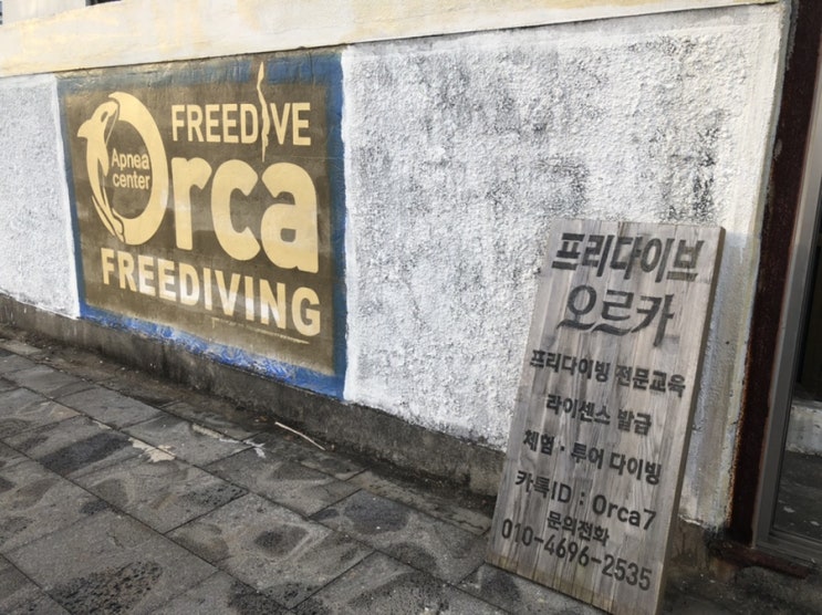  제주도 프리다이빙. 프리다이브 오르카센터 방문기!