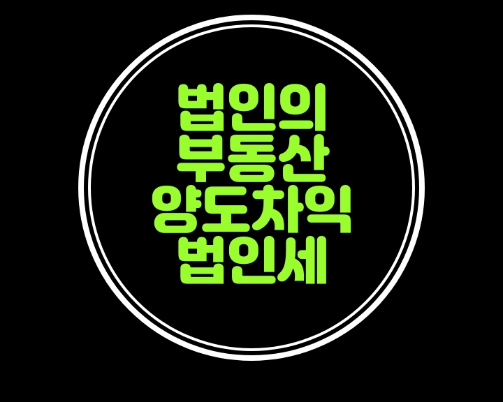  법인의 부동산양도차익에 대한 법인세 추가과세....비사업용토지.주택