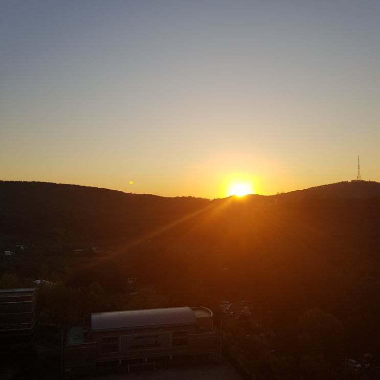 새로운 해가 떠오른다.