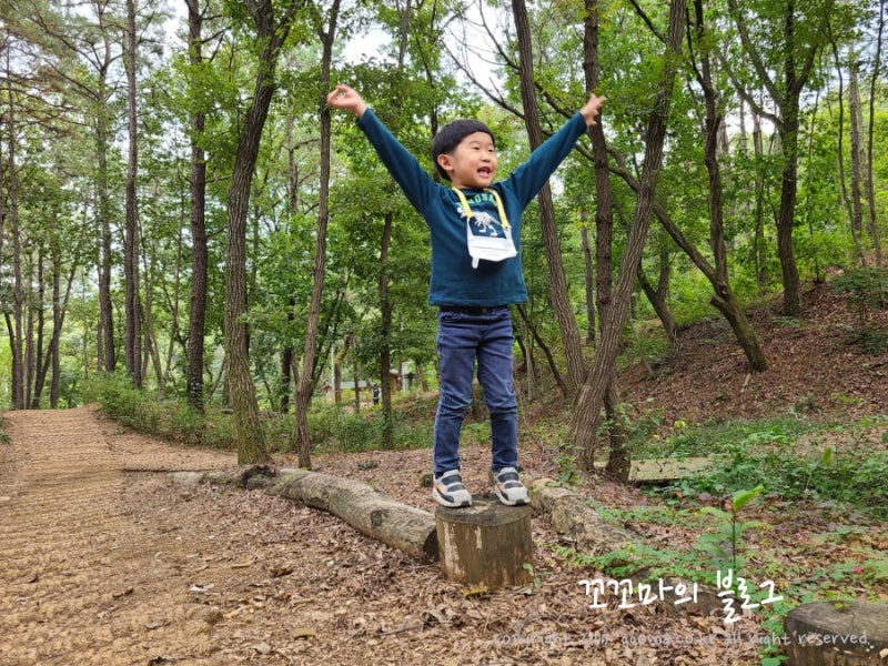 경기도 남양주 숲놀이터에서  밤줍기 체험까지 즐거워