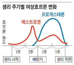  여성간호학 에스트로겐 프로게스테론역할 뇌하수체호르몬: 유방의구조기능