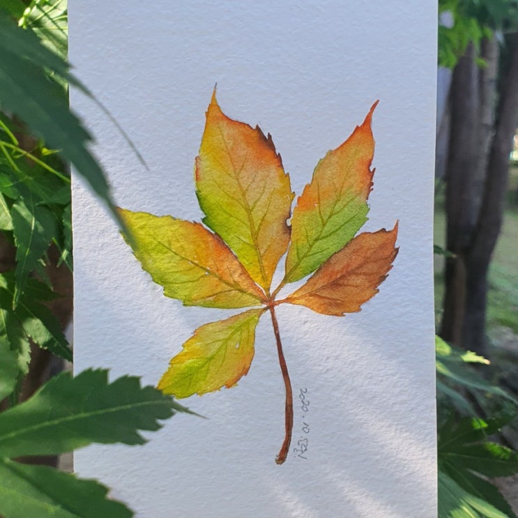  가을그림 단풍그리기