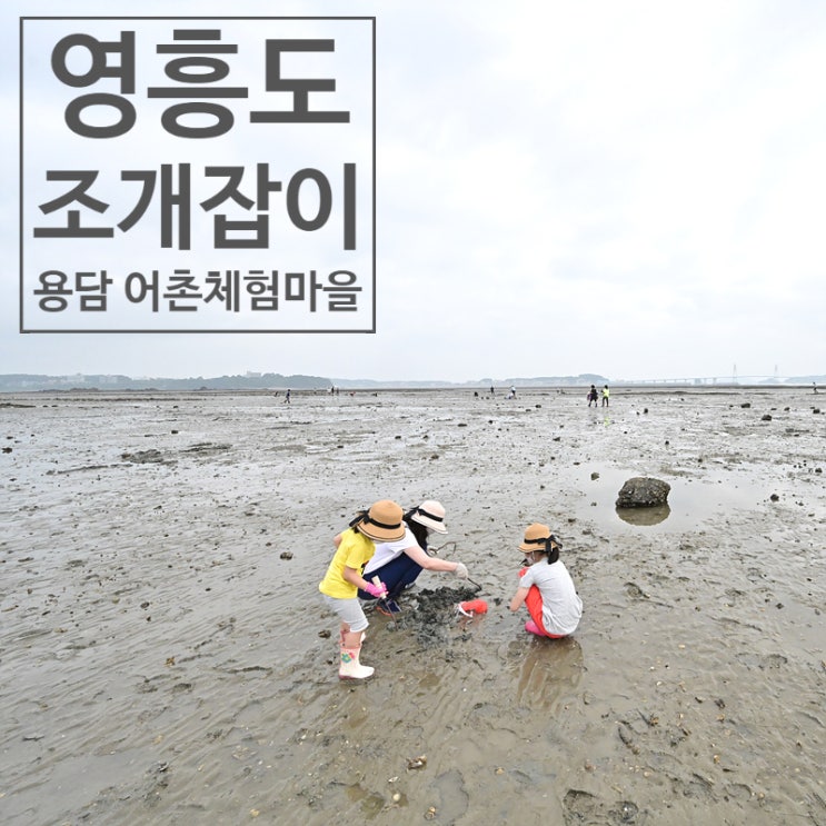  영흥도 갯벌체험, 영흥도 조개잡이<선재 어촌체험마을과 비교>