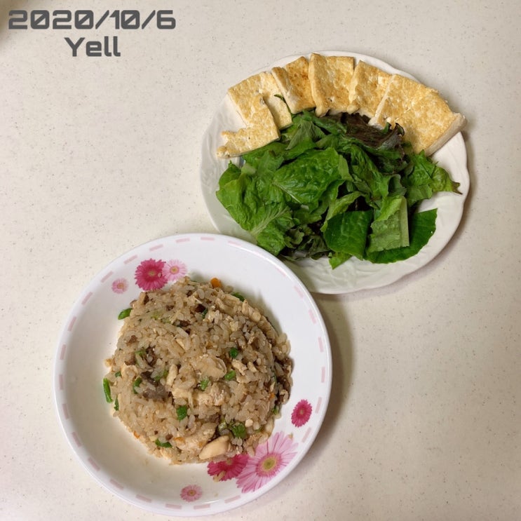  식단일기(1일차) : 처음 기록하는 식단일기