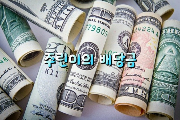 주린이의 배당금