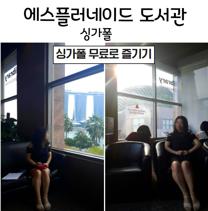  싱가폴 에스플러네이드 도서관 [싱가폴 무료로즐기기] 랜선싱가폴여행