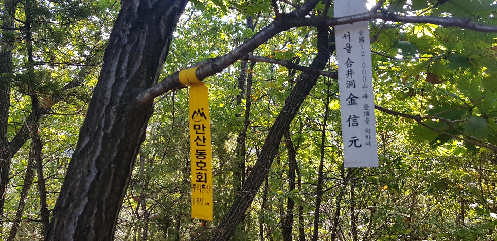 인절미두루동산 사진 6