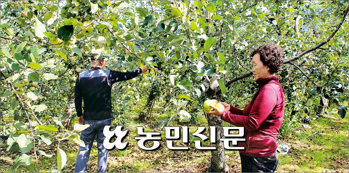 “농작물재해보험 보상기준 현실화해야” “농작물재해보험 보상기준 현실화해야”