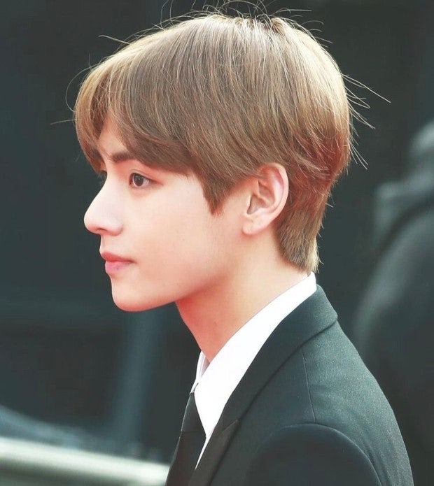 방탄소년단 뷔 옆모습 / 방탄 뷔 콧대 코 사진 : 네이버 블로그