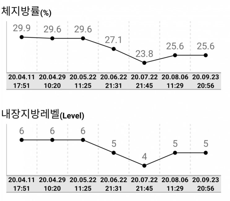 유지어터로서의 방향성 (근육을 키울까, 살을 더뺄까)