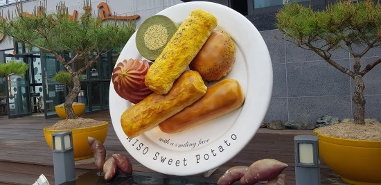 건강하면서 맛있는 빵~ 영주 '미소머금고' 고구마빵
