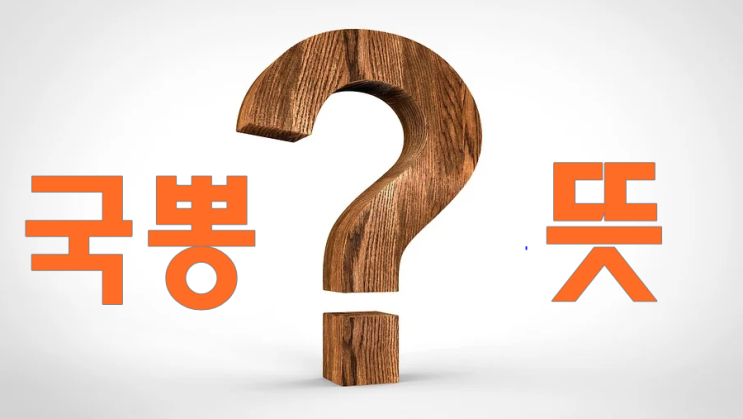  국뽕뜻   요즘은  어떤 의미로  사용되고 있을까요?