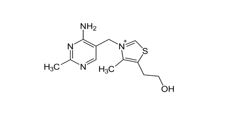 [비타민B1] 티아민(thiamine) 에너지 생산 조효소(티아민 피로인산(thiamin pyrophosphate, TPP))