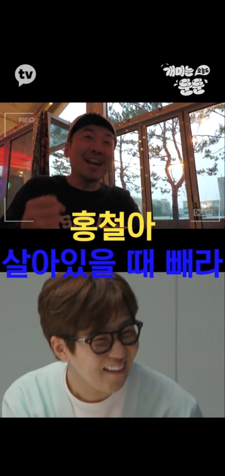  노홍철 딘딘의 환장 케미! 카카오 예능 개미는 오늘도 뚠뚠