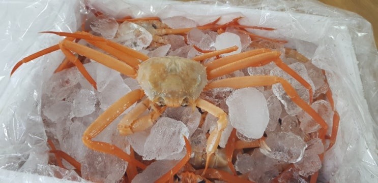  프리미엄 홍게 6kg