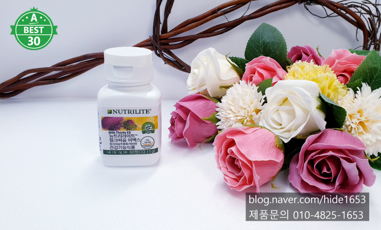  암웨이 뉴트리라이트 밀크씨슬 이엑스(간건강, 간영양제, 밀크시슬)