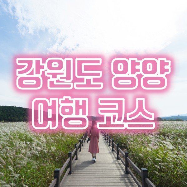 강원도 양양 여행(국밥 맛집, 낙산해수욕장, 함스베이커리, 남애항, 남대천연어생태공원)