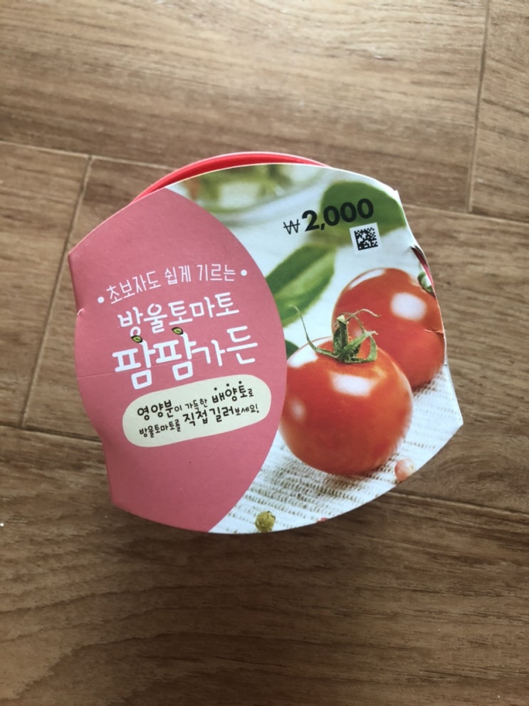  다이소 초보자도 쉽게 기르는 방울토마토 팜팜가든 영양분이 가득한 배양토로 방울토마토를 직접길러보세요!