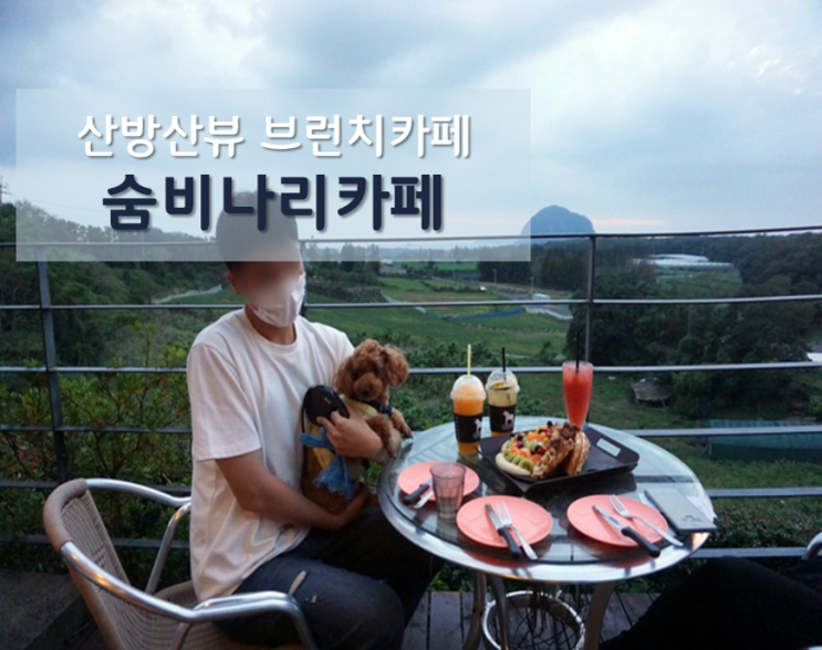 제주안덕면카페 / 숨비나리카페 : 애견동반 산방산뷰 브런치카페
