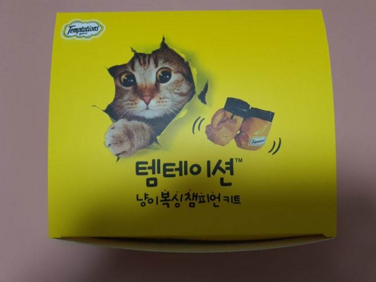 템테이션 복서 세트 후기 - 냥이 복싱 챔피언 키트 템테이션 복서 세트 후기 - 냥이 복싱 챔피언 키트