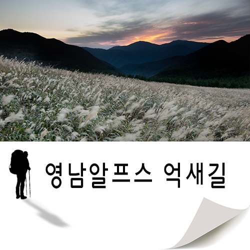  가을날 걷기좋은곳 영남알프스 하늘 억새길 산행