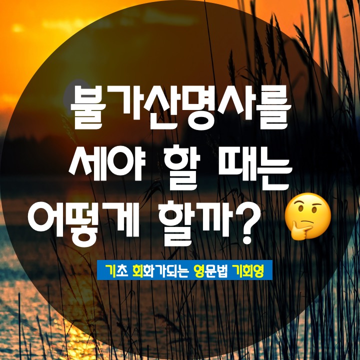  불가산명사 가산명사 복수 단수 쉽게 정리 - 기회영 영어