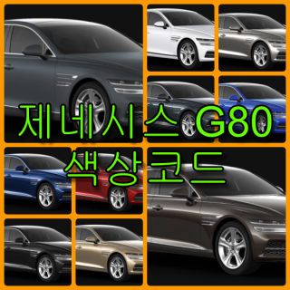 현대자동차 제네시스 G80 색상코드(컬러코드) 확인하고 자동차 붓펜(카페인트) 구매하는 법 - 라이프워크- Car,IT Review, Game