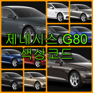  현대자동차 제네시스 G80 색상코드(컬러코드) 확인하고 자동차 붓펜(카페인트) 구매하는 법 - 라이프워크- Car,IT Review, Game
