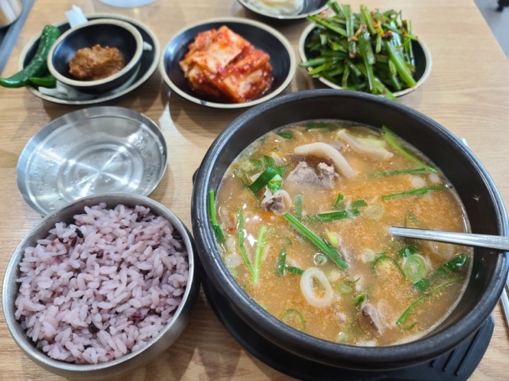  [다이어트일기]다이어트 1~2일차 (ft.다이어트할때 아침식사를 꼭 해야하는이유)