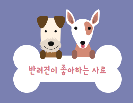  강아지 사료에 좋은 제품 추천