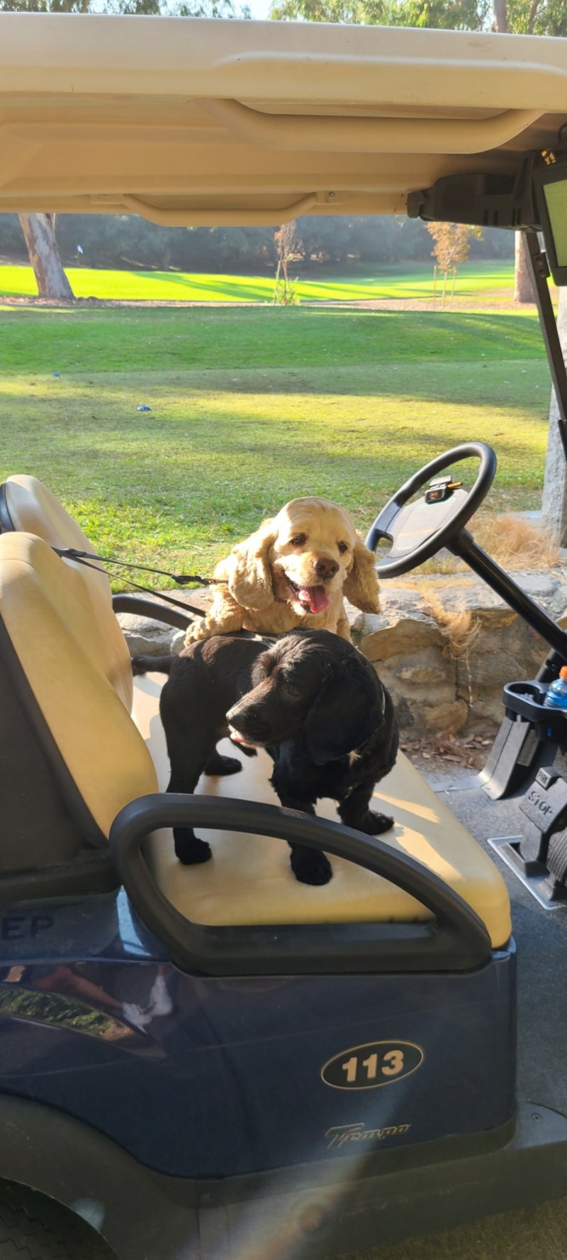 미국 엘에이 골프장 윌슨(Wilson & Harding Golf Courses ) : 네이버 블로그